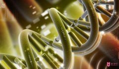 美國試管嬰兒常見問題答疑